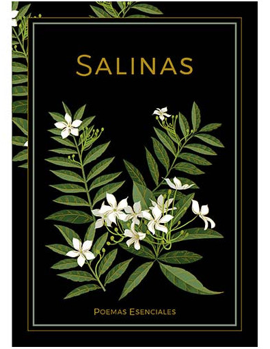 Poesía 11 - Salinas