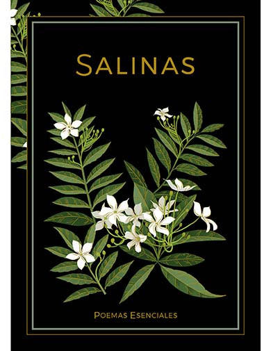 Poesía 11 - Salinas