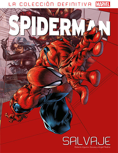 Spiderman 11