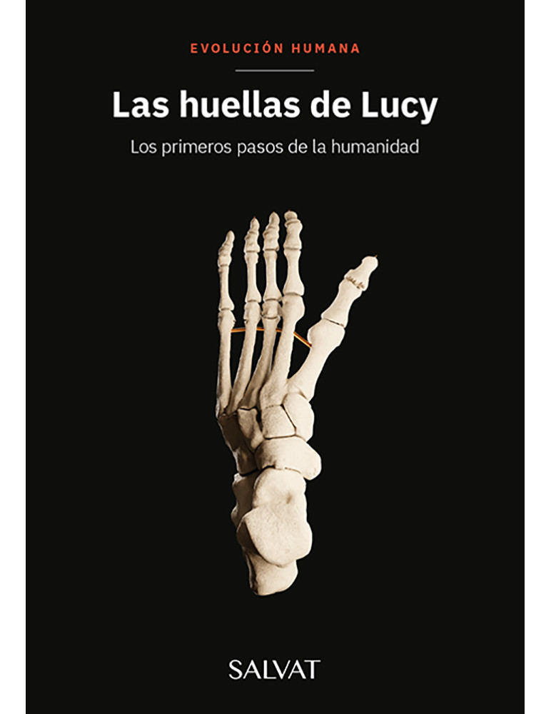 Evolución Humana 03