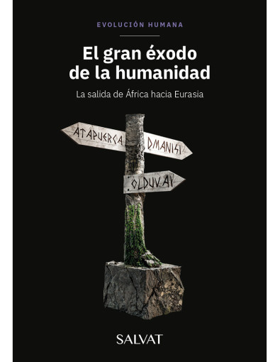 Evolución Humana 12