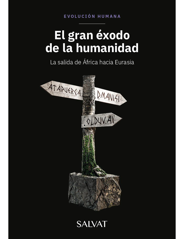 Evolución Humana 12