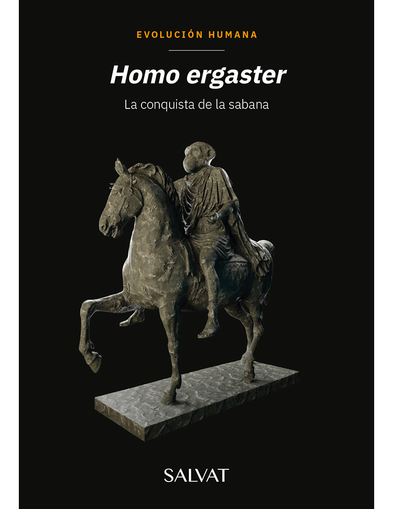 Evolución Humana 13