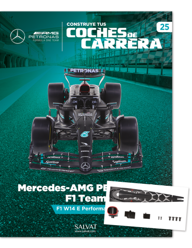 25- Mercedes-AMG PETRONAS F1 Team
