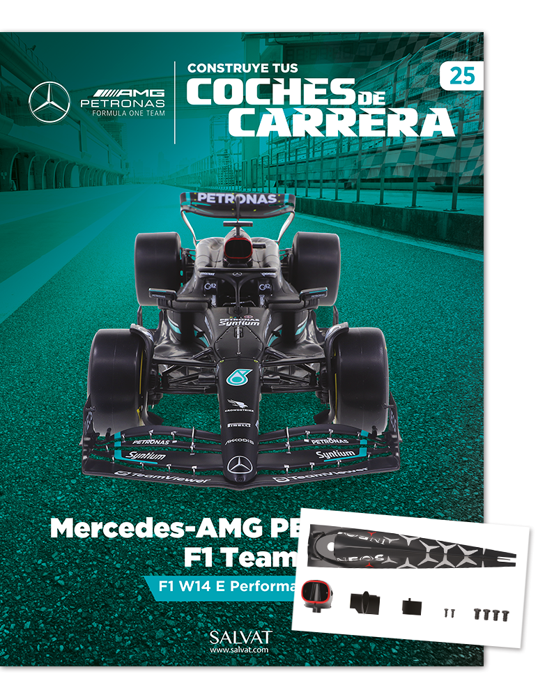 25- Mercedes-AMG PETRONAS F1 Team