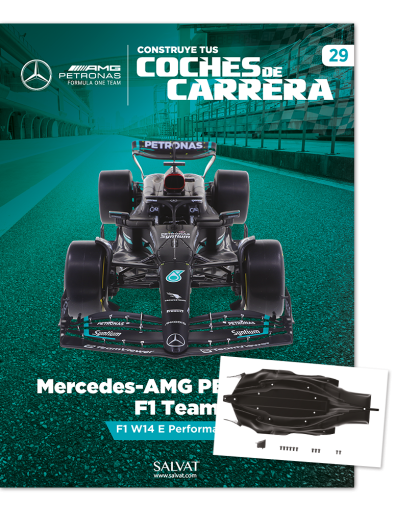29- Mercedes-AMG PETRONAS F1 Team