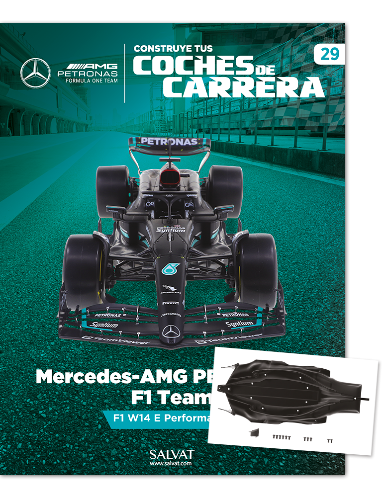 29- Mercedes-AMG PETRONAS F1 Team