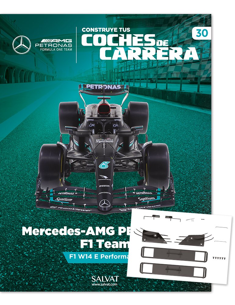 30- Mercedes-AMG PETRONAS F1 Team