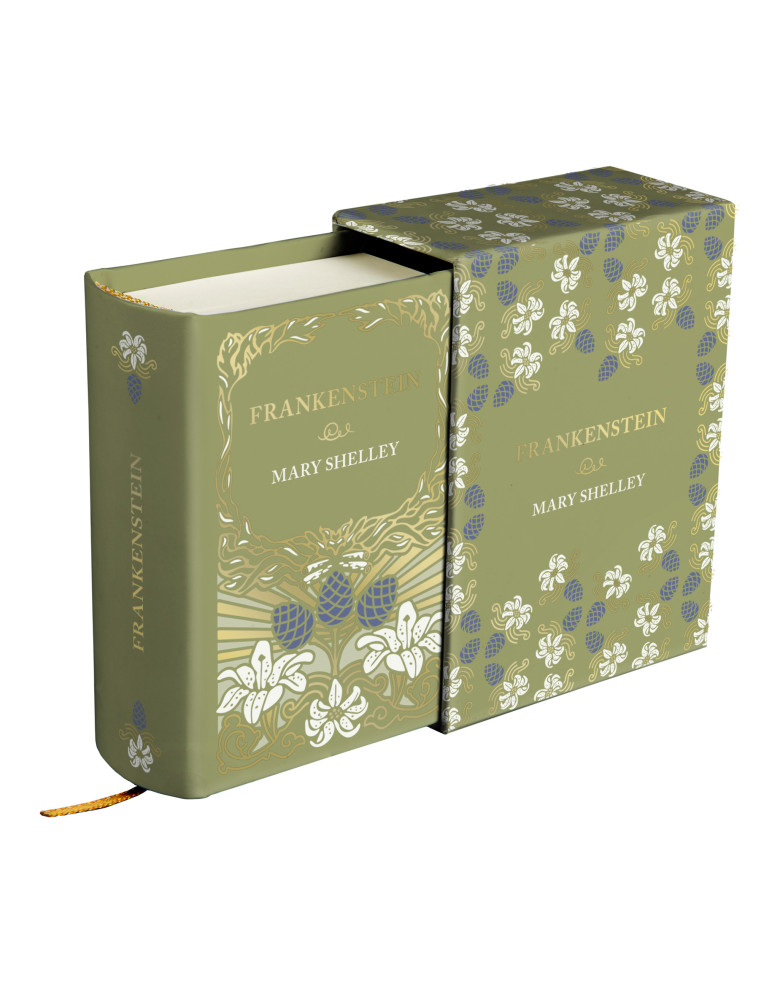 Frankenstein de Mary Shelley