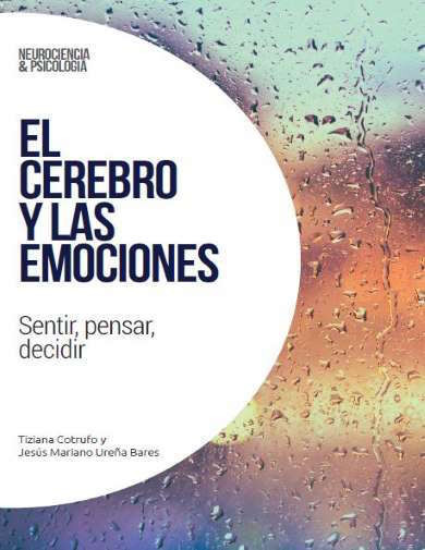 Neurociencia y psicología Nº 5