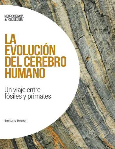 Neurociencia y psicología Nº 42