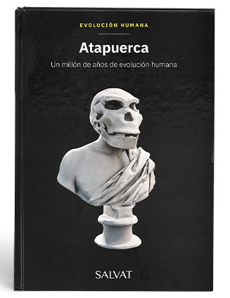 Evoluci&oacute;n Humana